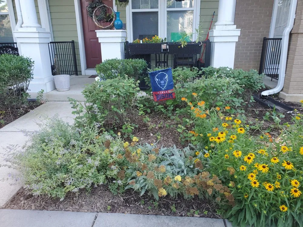 Top-rated lawn mowing service in Silver Spring, MD - Roots Landscaping