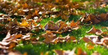 Professional outdoor landscaping for residential properties in Lubbock, TX by Roots Lawn & Landscape