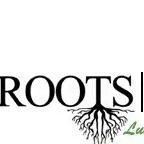 Trusted landscape installation for beautiful yards in Lubbock, TX by Roots Lawn & Landscape