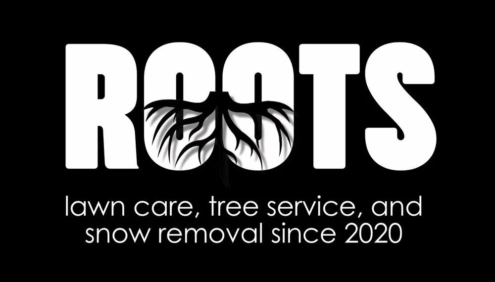 Affordable yard maintenance for outdoor upgrades in Winona, MN by Roots Lawn & Snow
