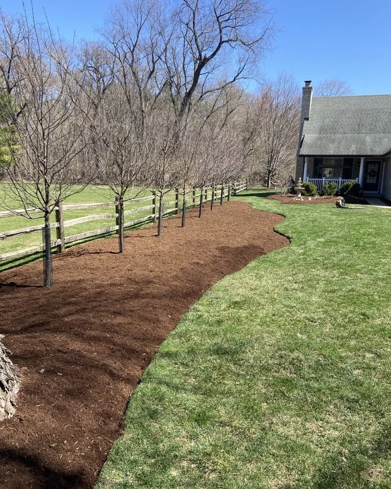 Local lawn care service for residential properties across Palatine, IL - Roots Lawn Care