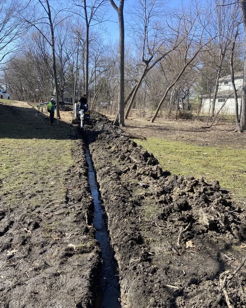 Professional landscaping services experts serving Palatine, IL - Roots Lawn Care