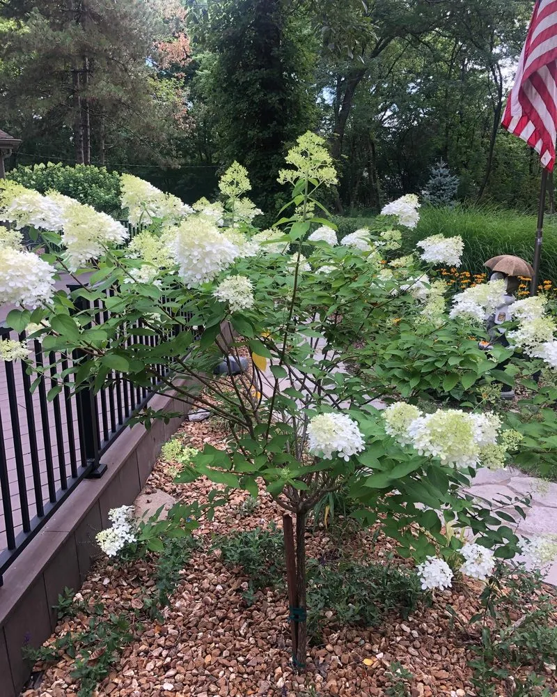 Affordable yard maintenance experts serving Palatine, IL - Roots Lawn Care