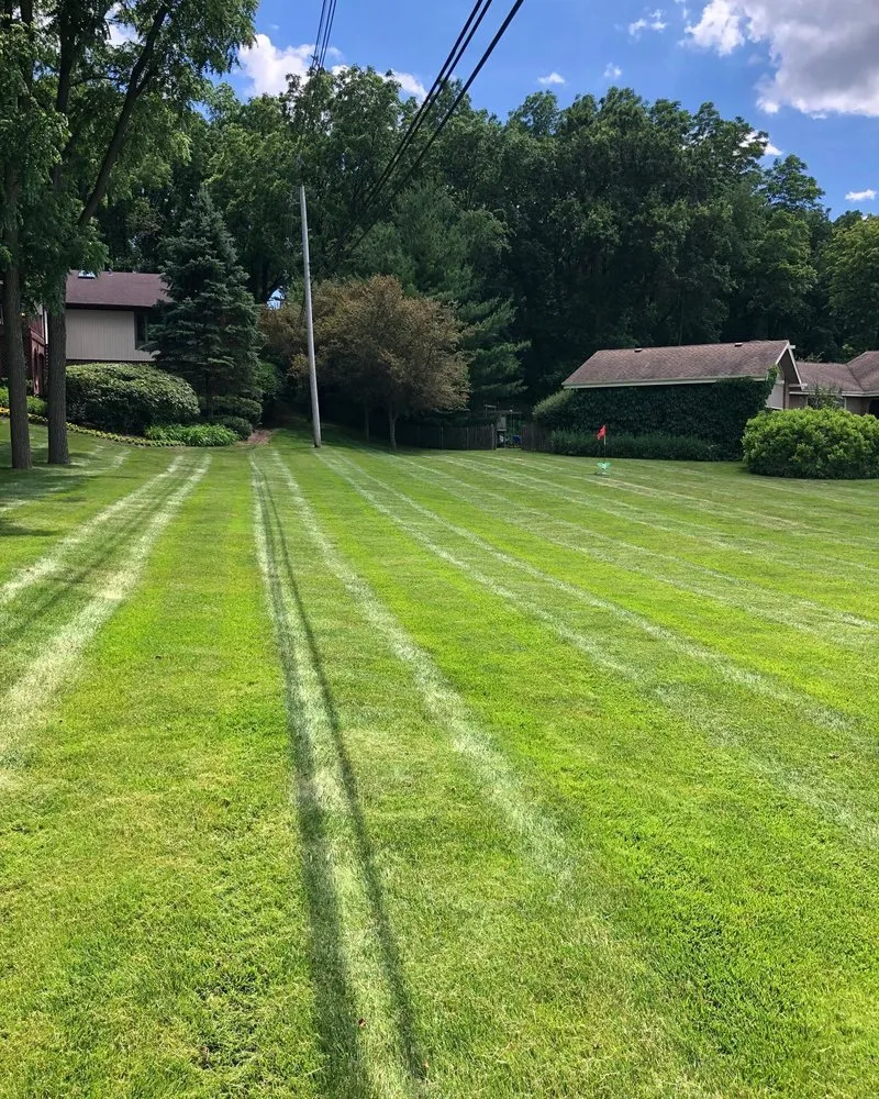 Affordable yard maintenance in Palatine, IL - Roots Lawn Care