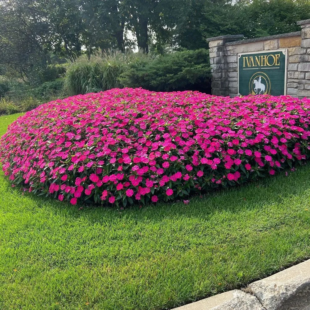 Trusted lawn care service for beautiful yards across Palatine, IL - Roots Lawn Care