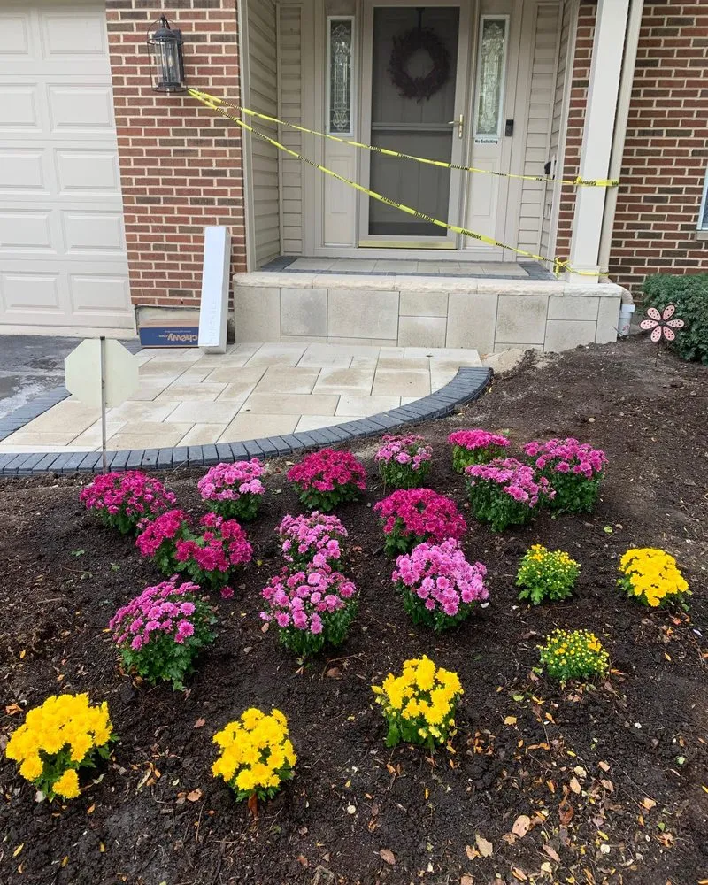 Trusted yard maintenance in Palatine, IL - Roots Lawn Care