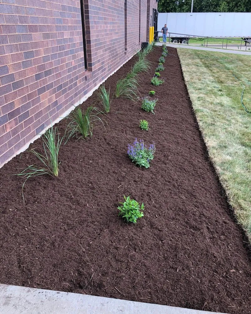 Custom yard maintenance experts serving Palatine, IL - Roots Lawn Care