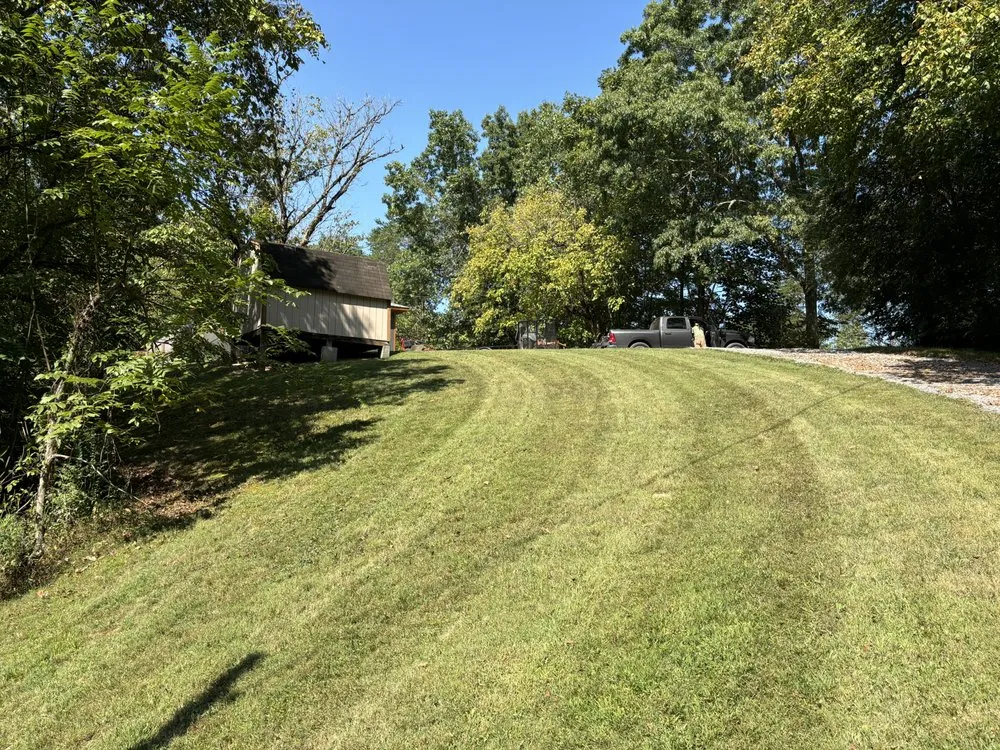 Top-rated yard cleanup service near you across Sevierville, TN - Roots Lawn Service