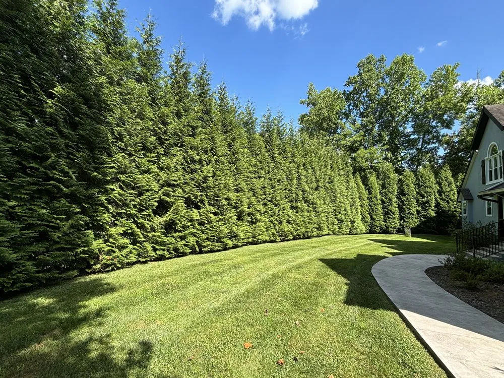 Custom lawn care service for homes across Sevierville, TN - Roots Lawn Service