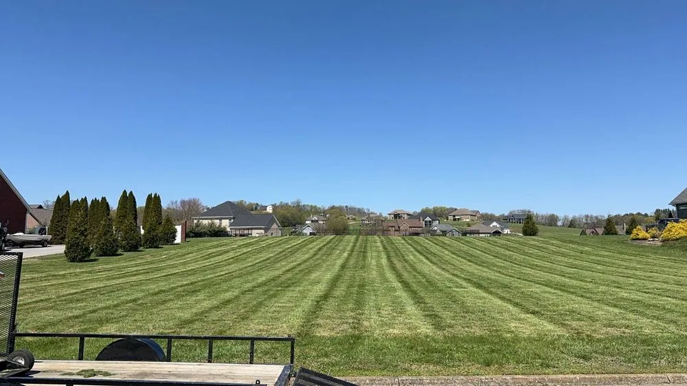 Trusted yard cleanup service experts serving Sevierville, TN - Roots Lawn Service