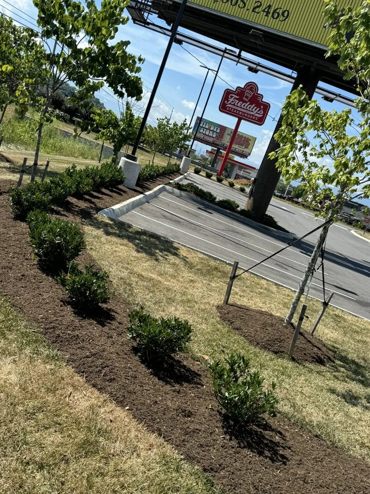 Local residential landscaping for residential properties across Sevierville, TN - Roots Lawn Service