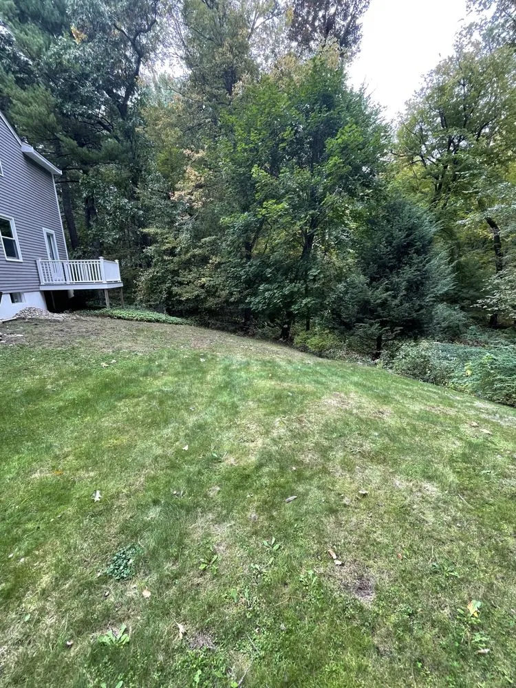 Trusted yard cleanup service experts serving Chelmsford, MA - Roots 'n Shoots