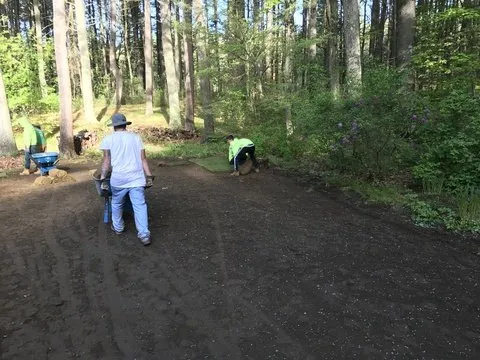Reliable landscape design in Chelmsford, MA - Roots 'n Shoots