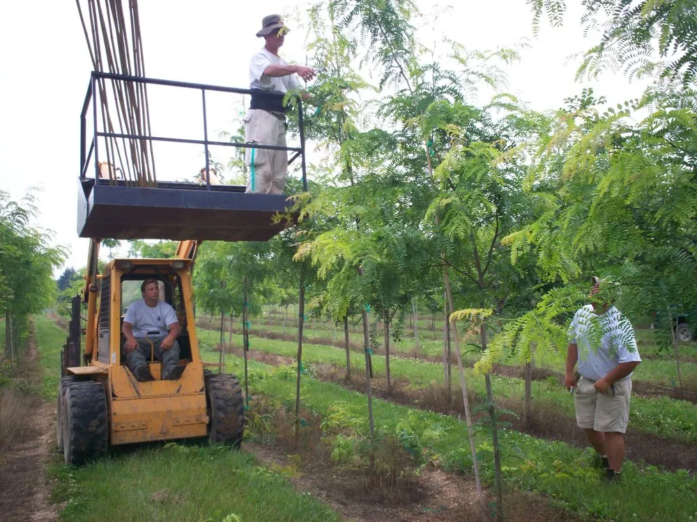 Top-rated outdoor landscaping for year-round maintenance in Manheim, PA by Root's Nurseries