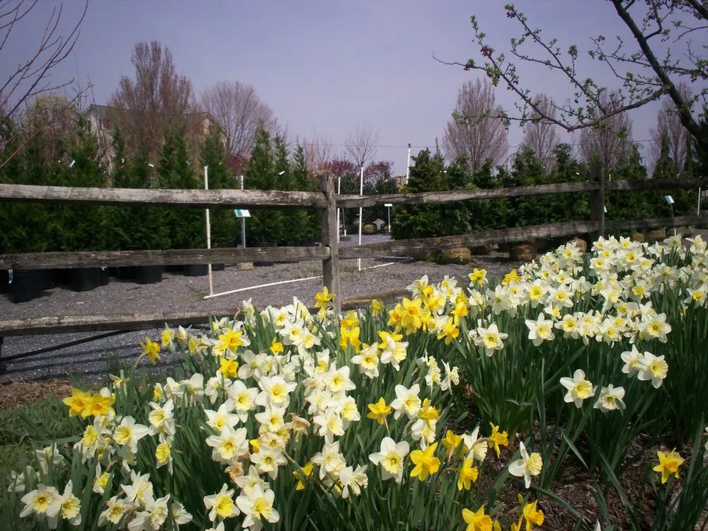 Top-rated yard cleanup service with custom design across Manheim, PA - Root's Nurseries