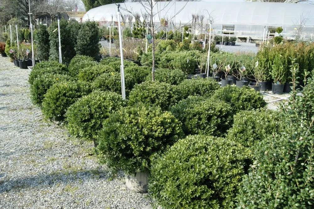 Reliable outdoor landscaping in Manheim, PA by Root's Nurseries