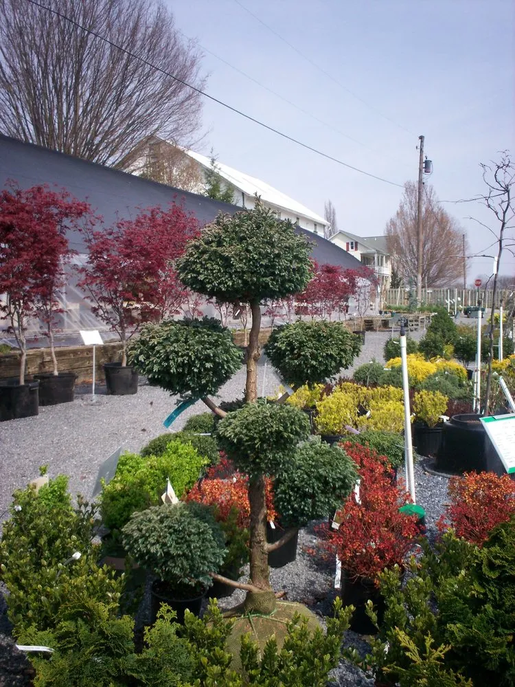 Reliable landscape design in Manheim, PA by Root's Nurseries