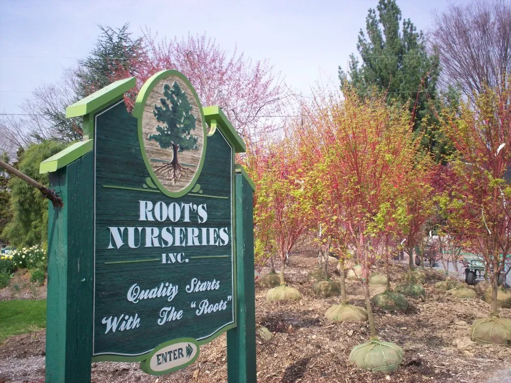 Trusted landscape design for outdoor upgrades in Manheim, PA by Root's Nurseries