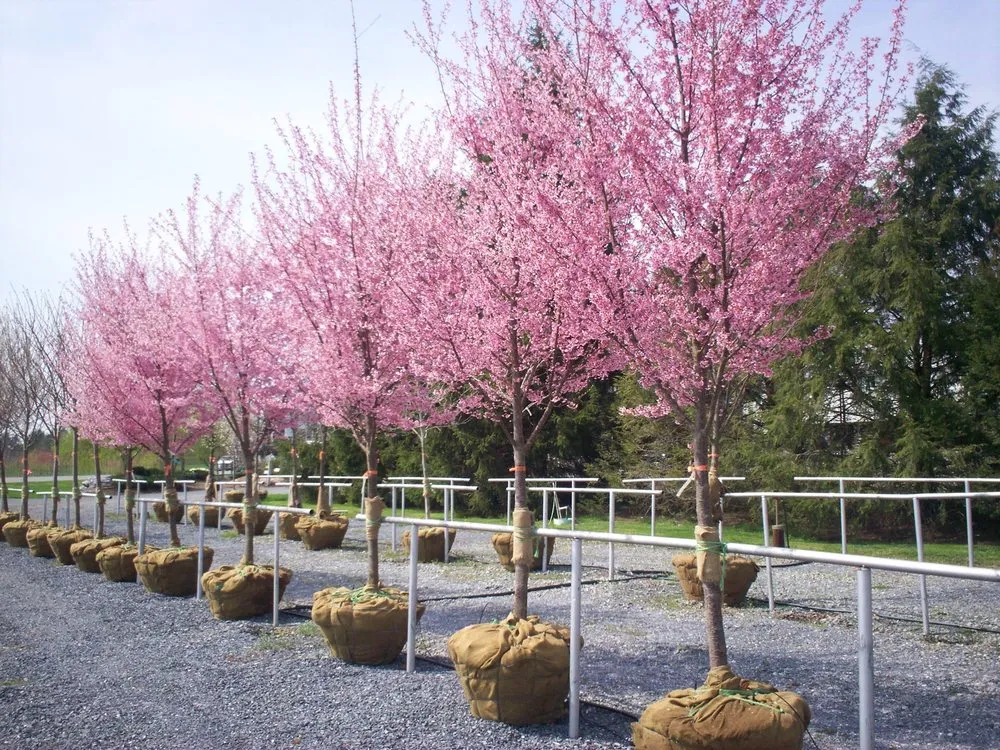 Top-rated garden landscaping experts serving Manheim, PA - Root's Nurseries