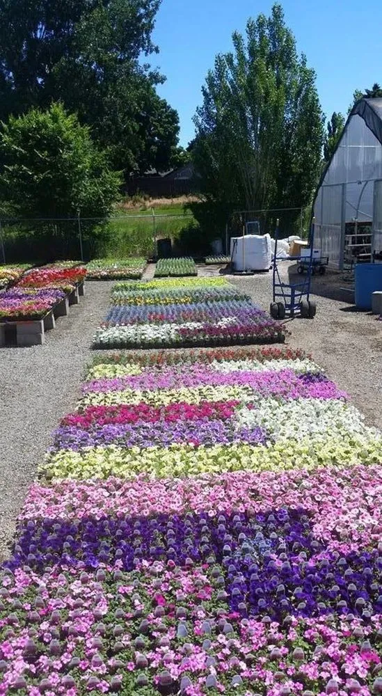 Top-rated landscape installation for outdoor upgrades across Yakima, WA - Roots Nursery & Landscape