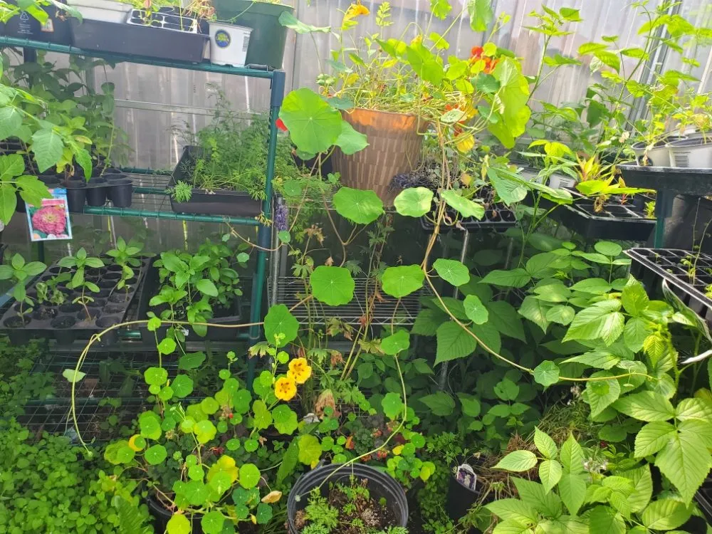 Local lawn mowing service in Anchorage, AK by Roots of Alaska