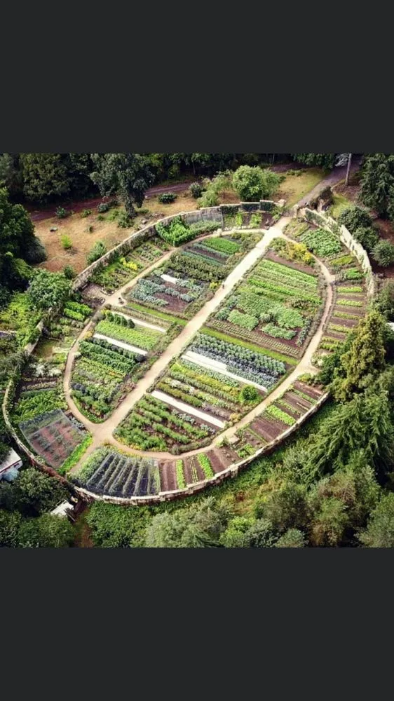 Trusted landscaping services experts serving Pownal, ME - Roots Of The Wild Sun