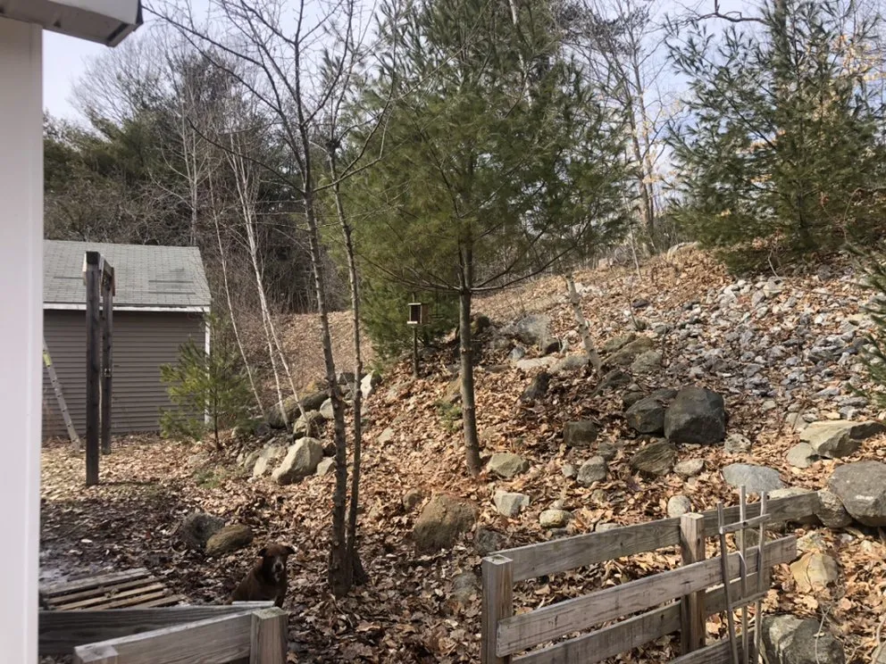 Custom lawn care service in Pownal, ME - Roots Of The Wild Sun