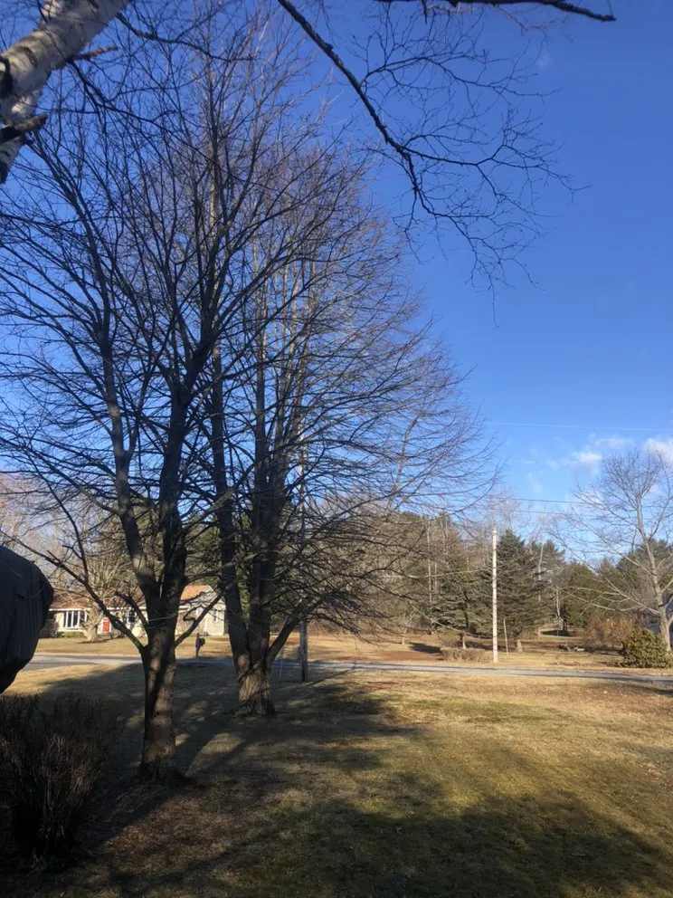 Affordable landscape installation in Pownal, ME - Roots Of The Wild Sun