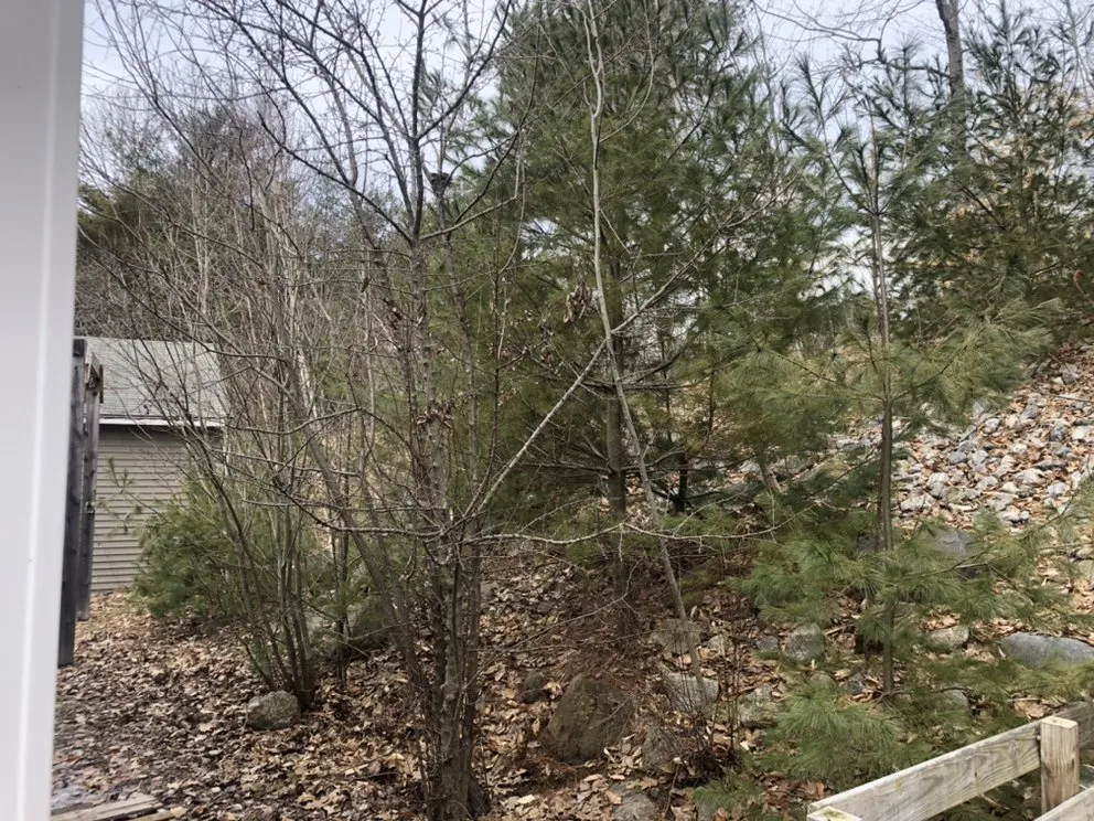 Top-rated yard maintenance near you across Pownal, ME - Roots Of The Wild Sun