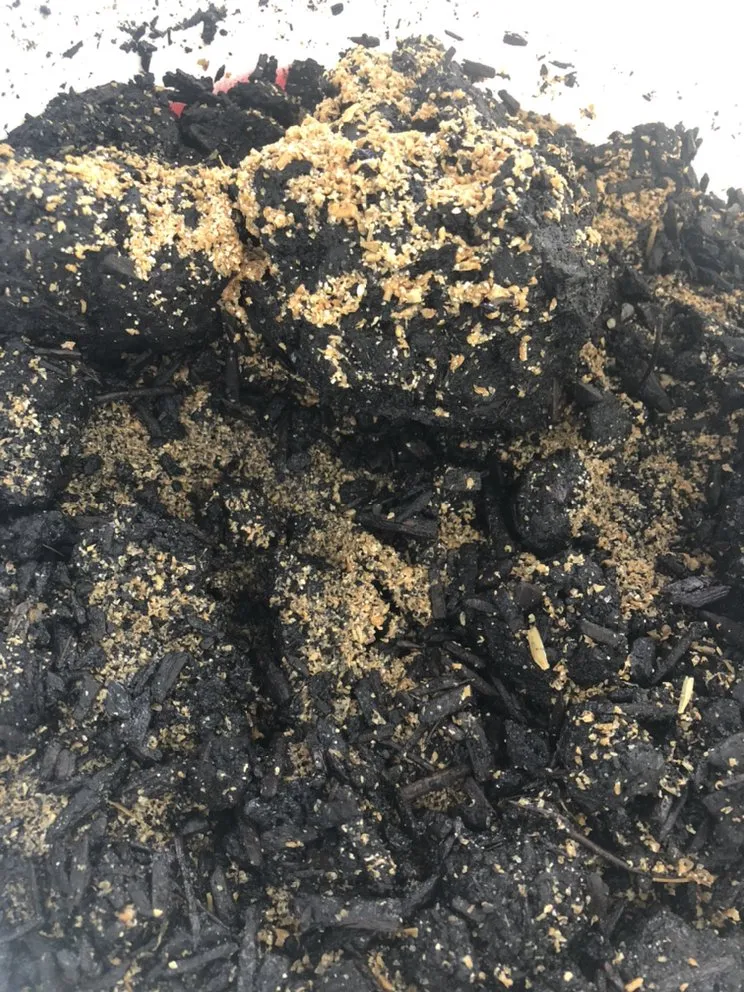 Top-rated garden landscaping experts serving Pownal, ME - Roots Of The Wild Sun