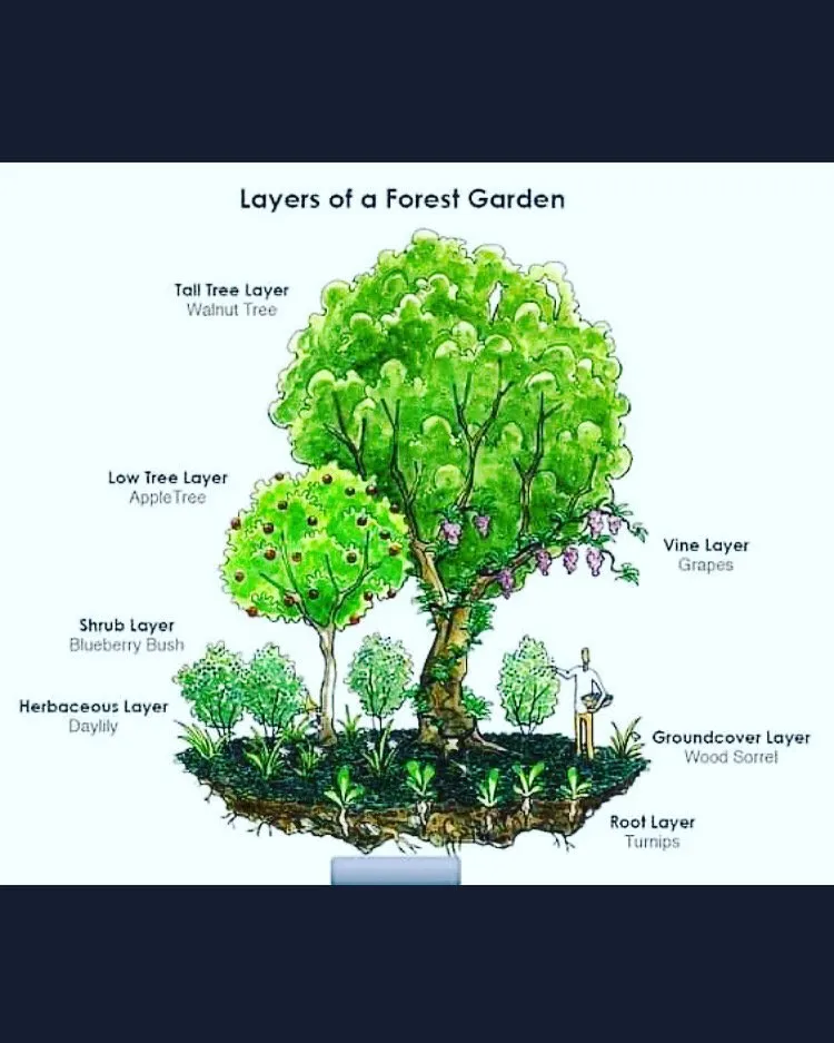 Reliable outdoor landscaping for beautiful yards in Pownal, ME by Roots Of The Wild Sun