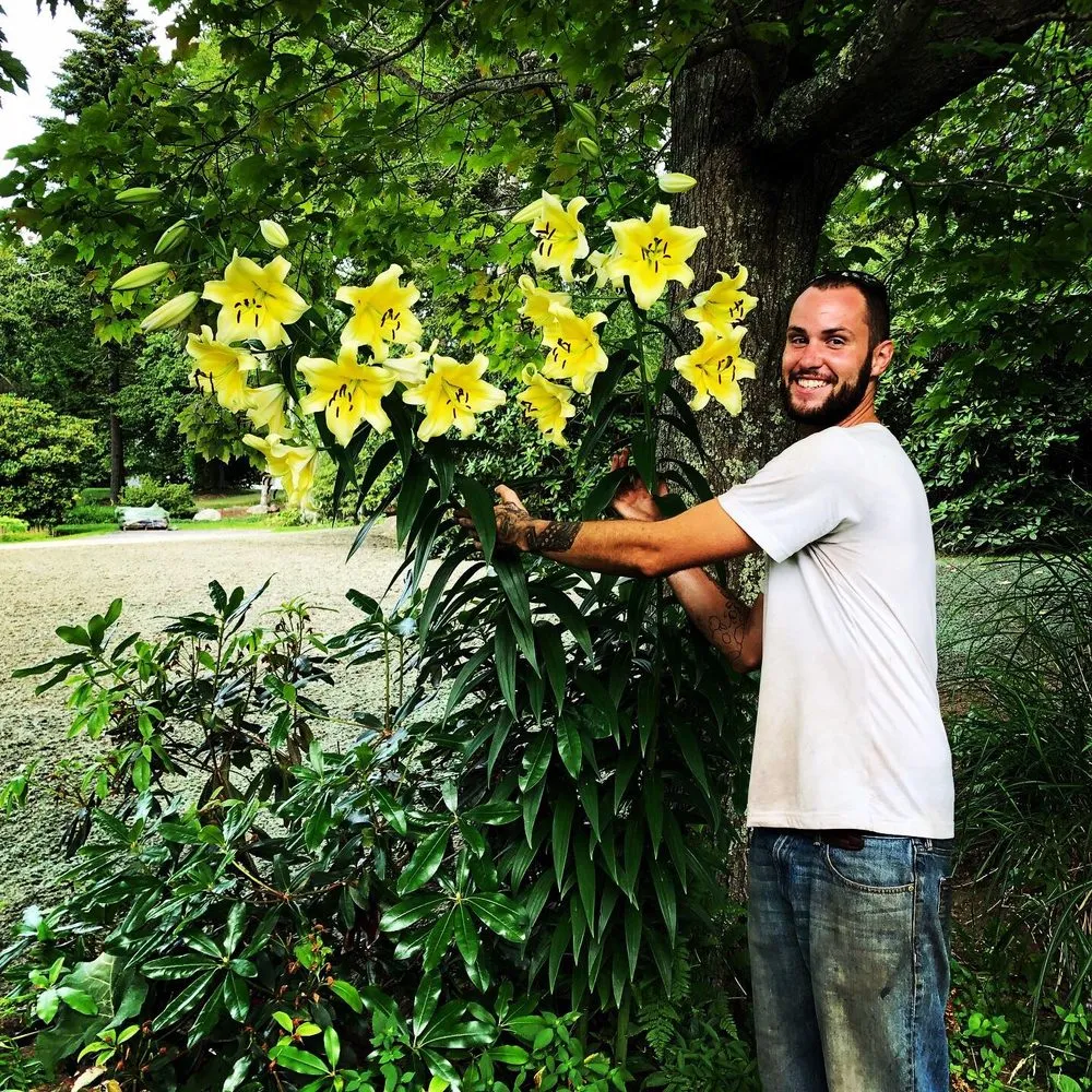 Professional yard cleanup service in Pownal, ME by Roots Of The Wild Sun