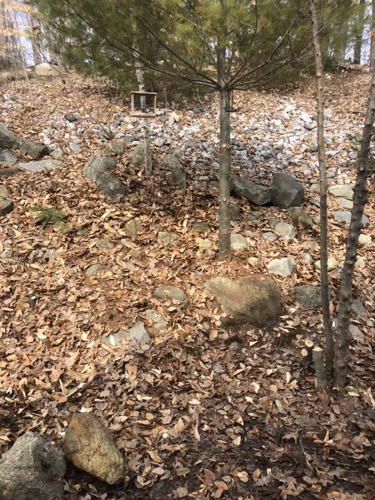 Custom yard cleanup service in Pownal, ME - Roots Of The Wild Sun