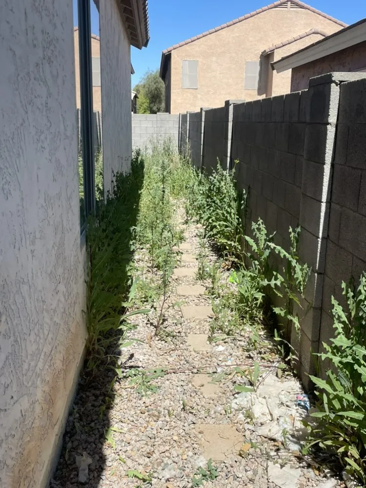 Custom lawn care service in Maricopa, AZ by Roots Out Lawn Care