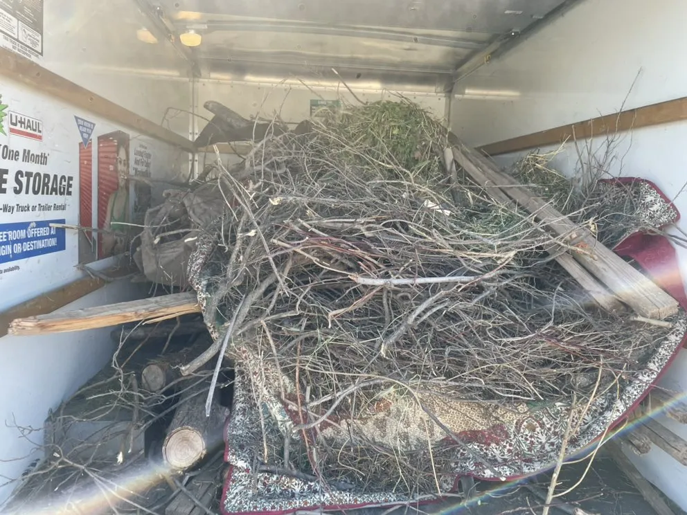 Top-rated lawn mowing service in Maricopa, AZ - Roots Out Lawn Care