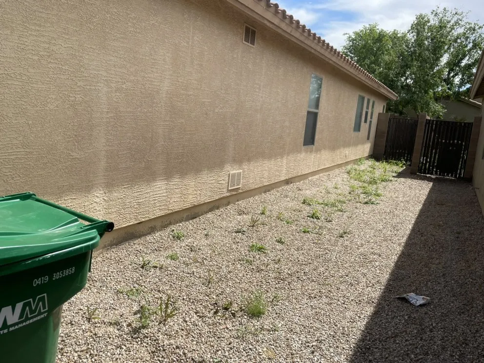 Affordable lawn care service in Maricopa, AZ - Roots Out Lawn Care