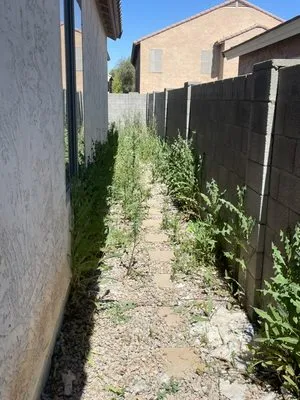 Roots Out Lawn Care Logo