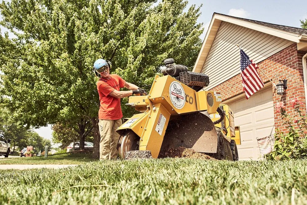 Professional garden landscaping in Ofallon, IL - Roots Professional Stump Grinding