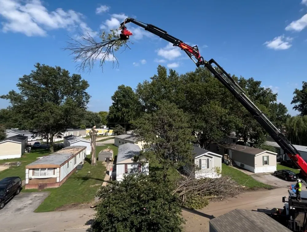 Expert garden landscaping with custom design in Ofallon, IL by Roots Professional Stump Grinding