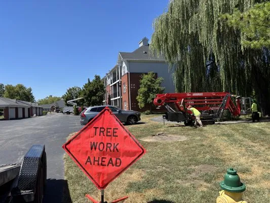 Roots Professional Stump Grinding Logo