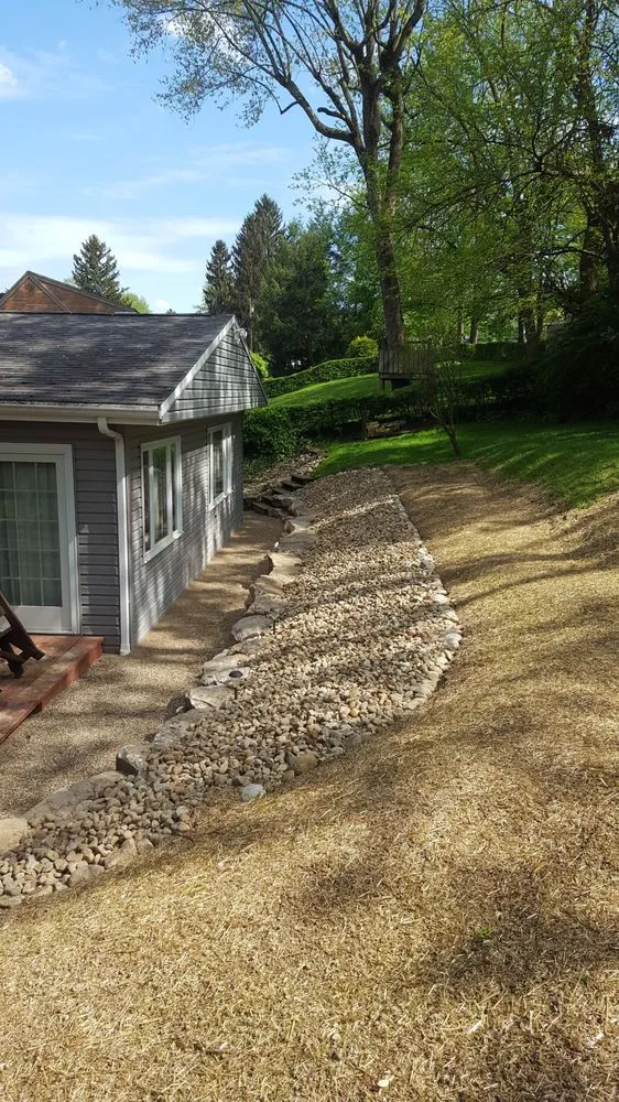 Top-rated yard cleanup service for year-round maintenance across North Huntingdon, PA - Roots Property Solutions