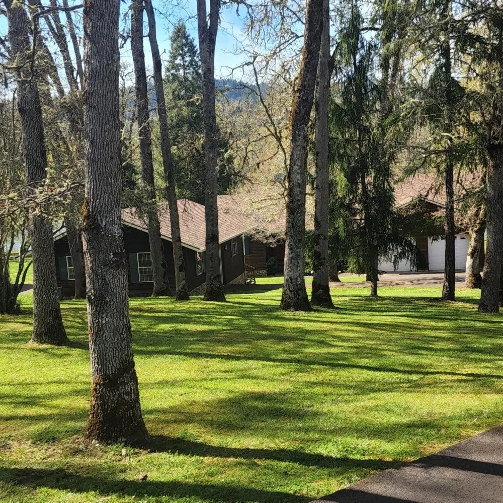 Expert yard cleanup service in Roseburg, OR - Roots Run Deep Landscaping