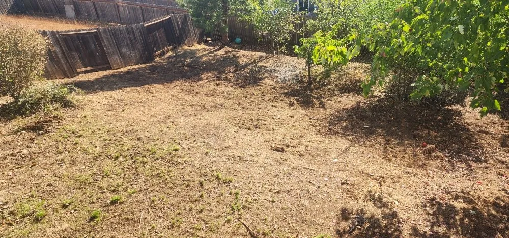 Reliable landscape installation in Roseburg, OR by Roots Run Deep Landscaping