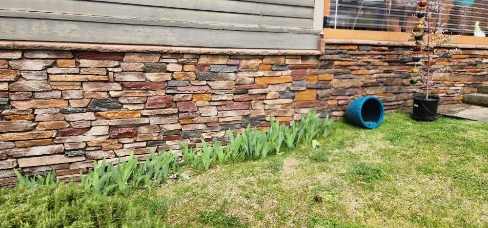 Trusted yard cleanup service experts serving Roseburg, OR - Roots Run Deep Landscaping