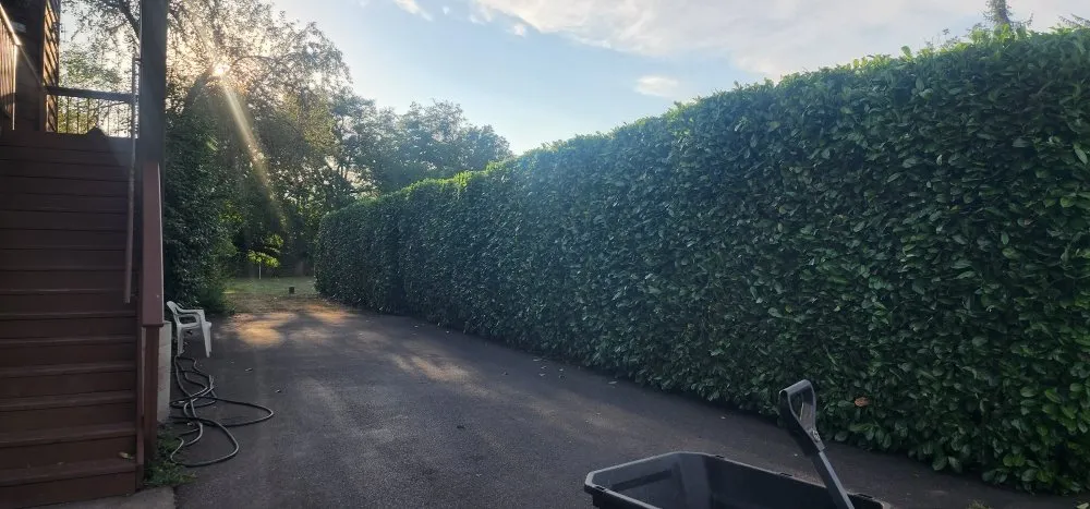 Expert lawn care service in Roseburg, OR by Roots Run Deep Landscaping