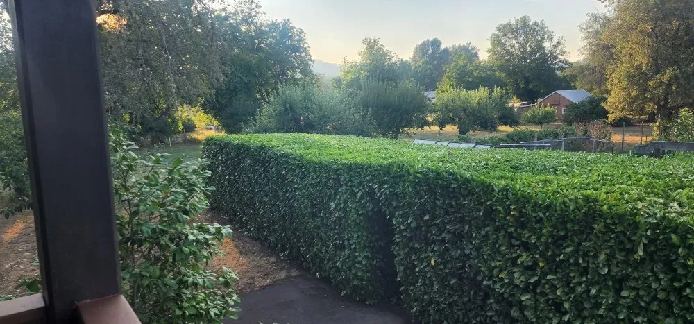 Top-rated residential landscaping in Roseburg, OR - Roots Run Deep Landscaping