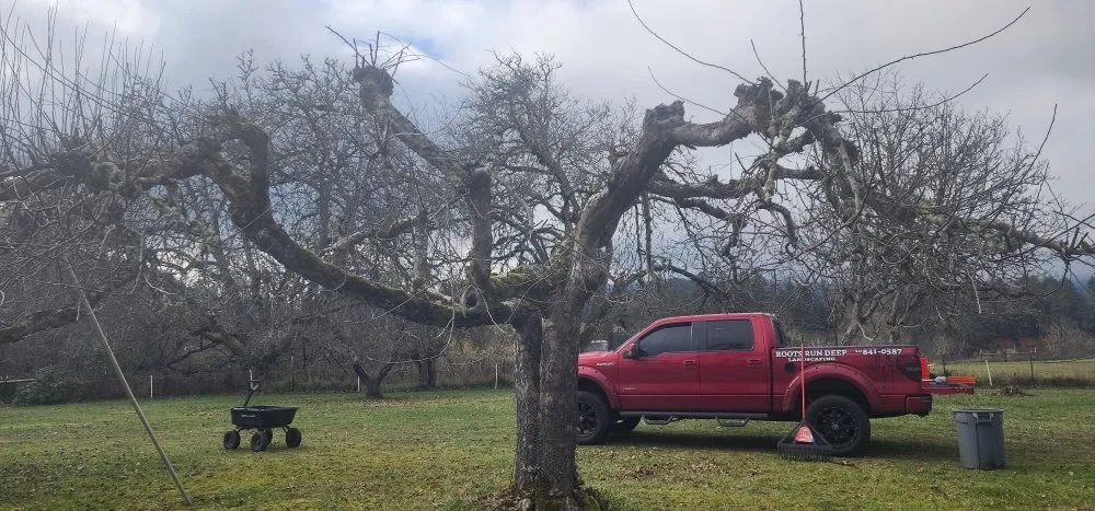 Reliable lawn care service experts serving Roseburg, OR - Roots Run Deep Landscaping