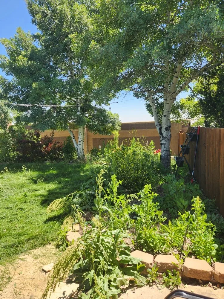 Reliable landscaping services experts serving Loveland, CO - Roots Run Deep Lawncare And Sprinkler