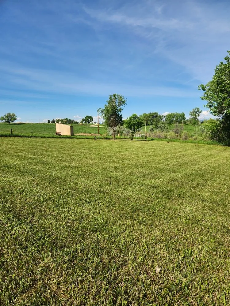 Affordable landscaping services experts serving Loveland, CO - Roots Run Deep Lawncare And Sprinkler