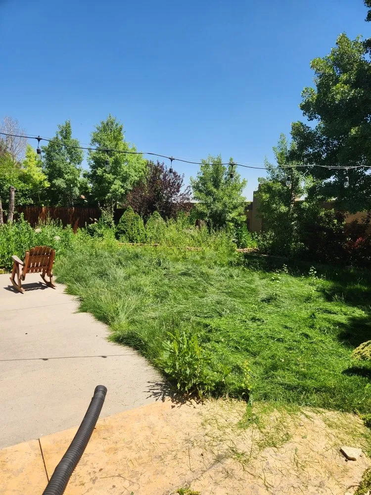 Professional lawn mowing service in Loveland, CO by Roots Run Deep Lawncare And Sprinkler